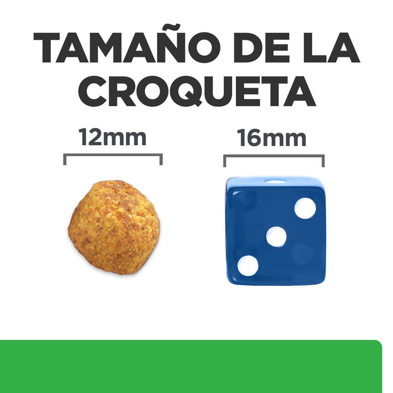 Hill's Prescription Diet Weight Loss r/d Pollo pienso para perros, , large image number null